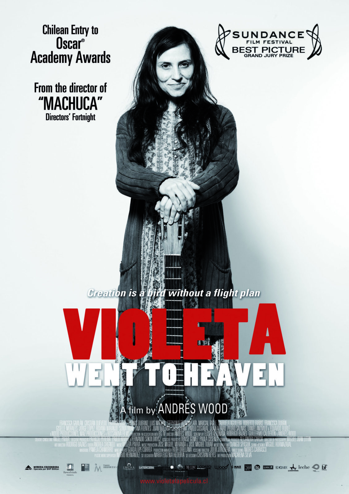 VIOLETA WENT TO HEAVEN - Latido Films